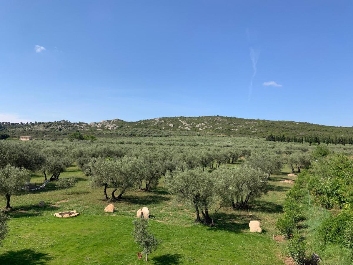 Bed and Breakfast La Bergerie de Cigalon Mouries Exterior foto