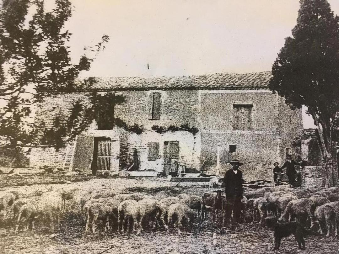 Bed and Breakfast La Bergerie de Cigalon Mouries Exterior foto