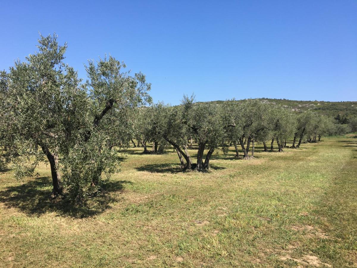 Bed and Breakfast La Bergerie de Cigalon Mouries Exterior foto