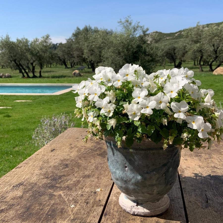 Bed and Breakfast La Bergerie de Cigalon Mouries Exterior foto
