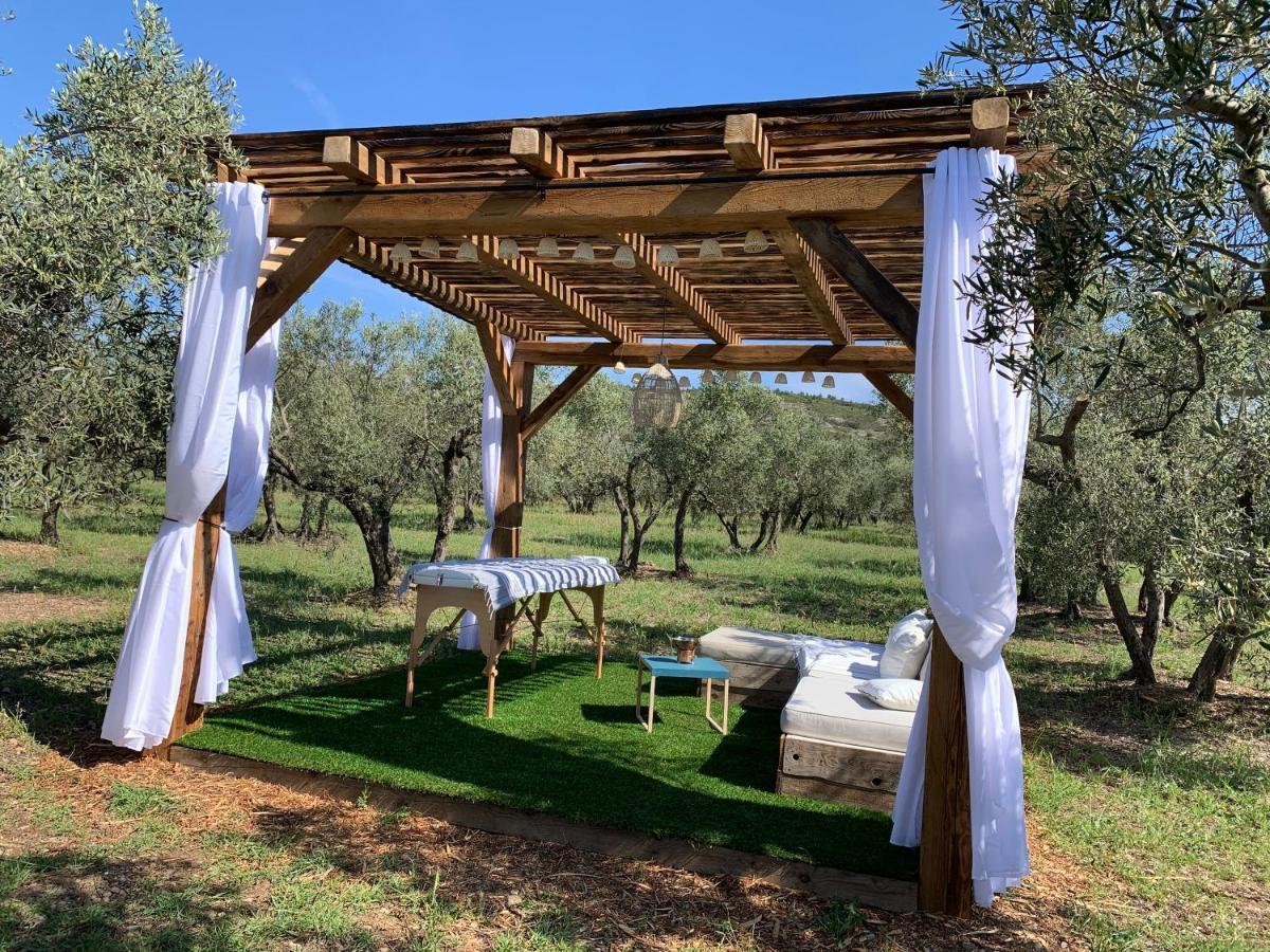 Bed and Breakfast La Bergerie de Cigalon Mouries Exterior foto