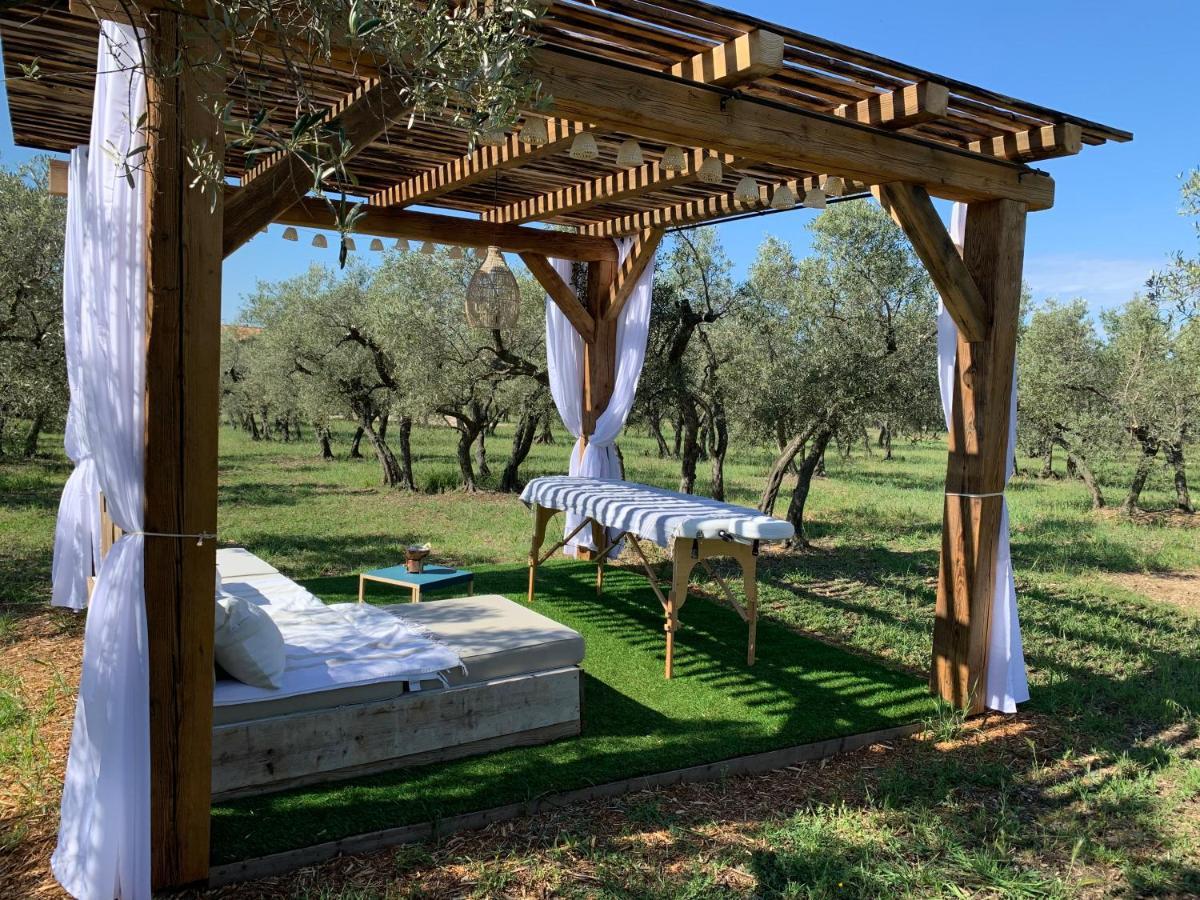 Bed and Breakfast La Bergerie de Cigalon Mouries Exterior foto